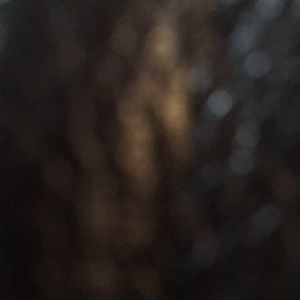 Meet your Posher, Coralie